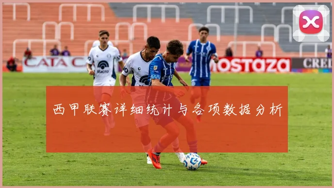 西甲联赛详细统计与各项数据分析